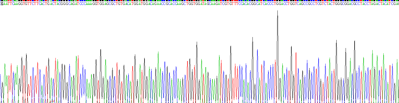 Recombinant Low Density Lipoprotein Receptor Related Protein 1 (LRP1)