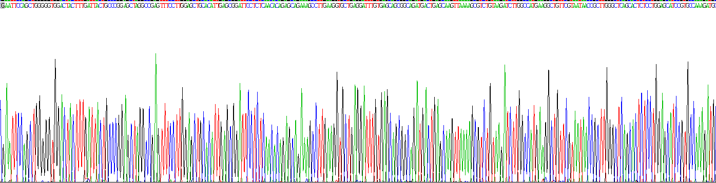 Recombinant Nucleoporin 85 (NUP85)