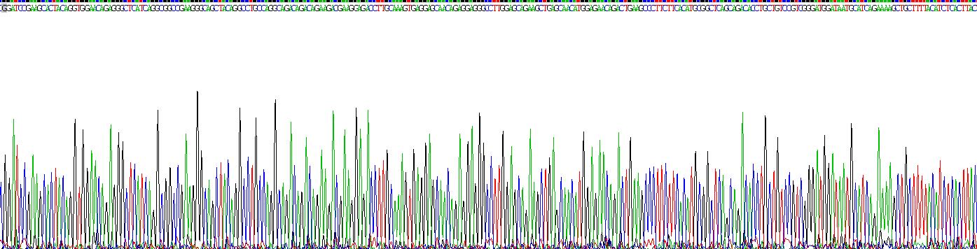 Recombinant Cluster Of Differentiation 72 (CD72)