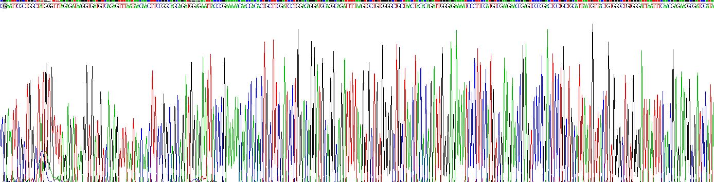 Recombinant Tetraspanin 30Cluster of Differentiation 63 (CD63)