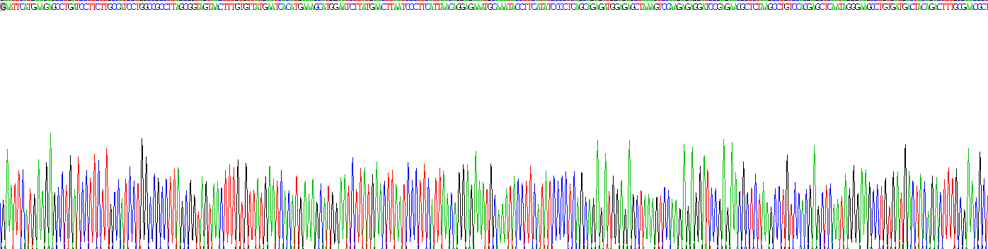 Recombinant Matrix Gla Protein (MGP)