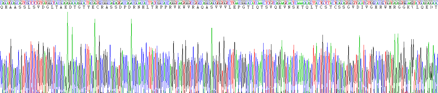 Recombinant Cluster Of Differentiation 147 (CD147)