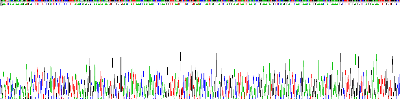 Recombinant Angiopoietin Like Protein 3 (ANGPTL3)