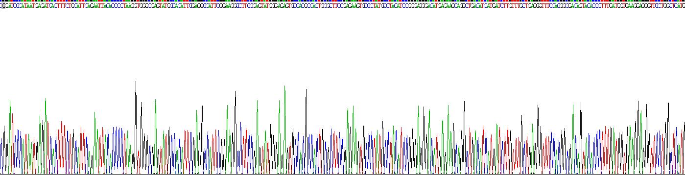 Recombinant Matrix Metalloproteinase 14 (MMP14)