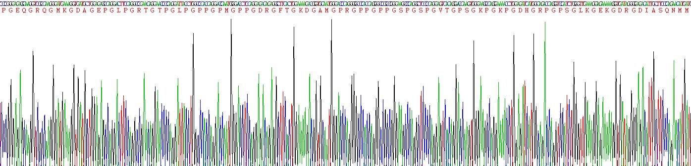 Recombinant Collagen Type XII (COL12)