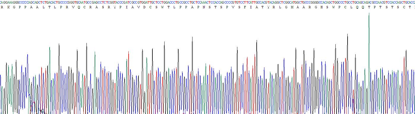 Recombinant Epstein Barr Virus Induced Protein 3 (EBI3)