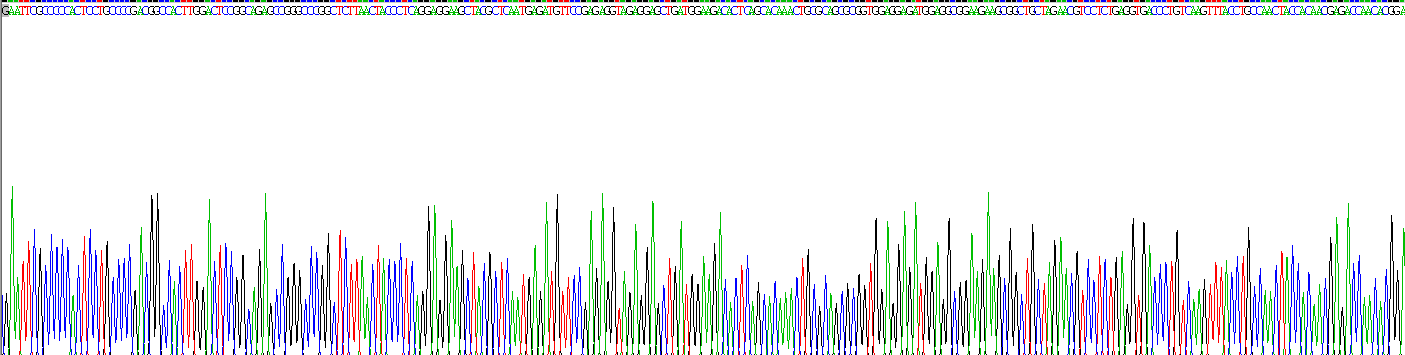 Recombinant Dickkopf Related Protein 3 (DKK3)