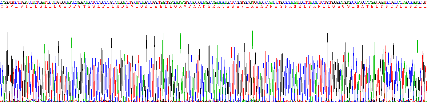 Recombinant Peptidoglycan Recognition Protein 2 (PGLYRP2)