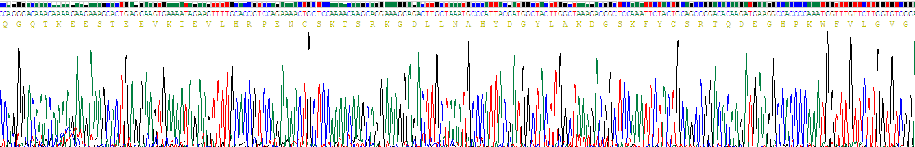 Recombinant FK506 Binding Protein 7 (FKBP7)