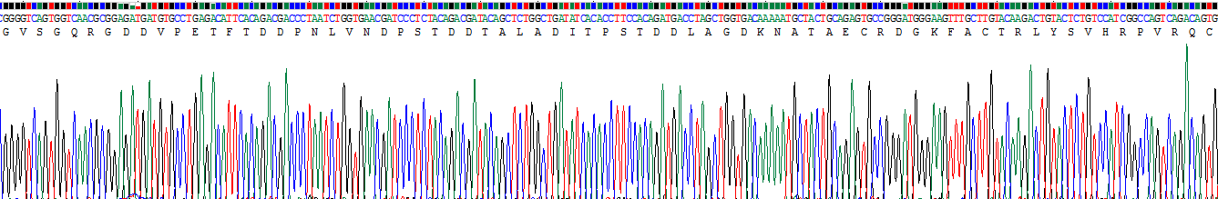 Recombinant Microfibrillar Associated Protein 5 (MFAP5)