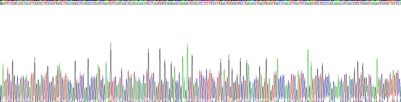 Recombinant Transmembrane Protein 173 (TMEM173)
