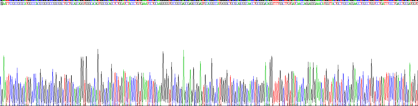 Recombinant MOCO Sulphurase C-Terminal Domain Containing Protein 1 (MOSC1)