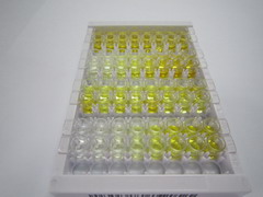 ELISA Kit for Matrix Metalloproteinase 1 (MMP1)