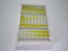 ELISA Kit for TEK Tyrosine Kinase, Endothelial (Tie2)