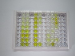ELISA Kit for Collagen Type IV Alpha 1 (COL4a1)