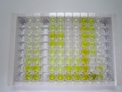 ELISA Kit for Nitric Oxide Synthase Interacting Protein (NOSIP)