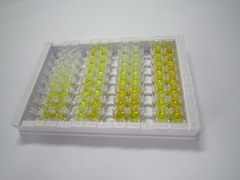 ELISA Kit for S100 Calcium Binding Protein A11 (S100A11)