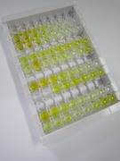 ELISA Kit for Nitric Oxide Synthase Trafficker (NOSTRIN)