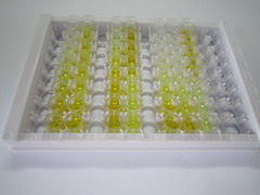 ELISA Kit for Dopachrome Tautomerase (DCT)