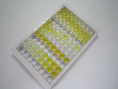 ELISA Kit for Aspartate Aminotransferase (AST)