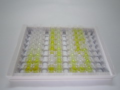 ELISA Kit for Poliovirus Receptor Related Protein 1 (PVRL1)