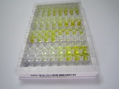 ELISA Kit for Collectin Liver 1 (CLL1)