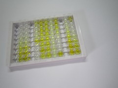 ELISA Kit for Cytochrome P450 Family 21 Subfamily A Member 2 (CYP21A2)