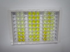 ELISA Kit for Permeability Glycoprotein (Pgp)