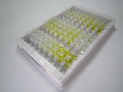 ELISA Kit for Signal Transducer And Activator Of Transcription 1 (STAT1)
