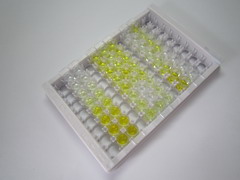 ELISA Kit for Ribonuclease A3 (RNASE3)