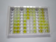 ELISA Kit for S100 Calcium Binding Protein A6 (S100A6)