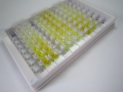 ELISA Kit for S100 Calcium Binding Protein A8 (S100A8)