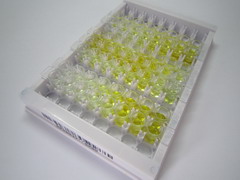 ELISA Kit for S100 Calcium Binding Protein A8 (S100A8)