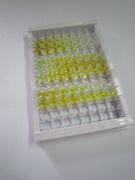 ELISA Kit for S100 Calcium Binding Protein A9 (S100A9)