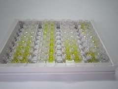ELISA Kit for Vitamin D Binding Protein (DBP)