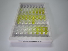ELISA Kit for Interleukin 6 Receptor (IL6R)