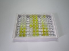 ELISA Kit for Apolipoprotein C4 (APOC4)