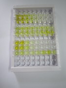 ELISA Kit for Interleukin 2 Receptor Alpha (IL2Ra)