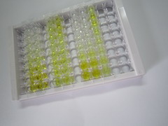 ELISA Kit for Cholinergic Receptor, Muscarinic 3 (CHRM3)