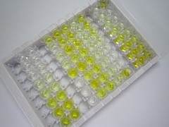 ELISA Kit for Small Breast Epithelial Mucin (SBEM)