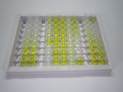 ELISA Kit for Neuregulin 1 (NRG1)