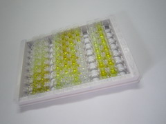 ELISA Kit for Protein Kinase C Alpha (PKCa)