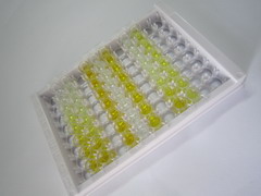 ELISA Kit for Apolipoprotein B (APOB)