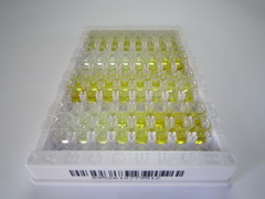 ELISA Kit for Aldehyde Dehydrogenase, Mitochondrial (ALDH2)