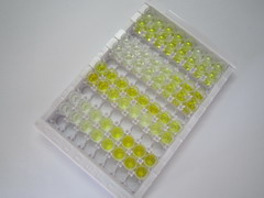 ELISA Kit for O-6-Methylguanine DNA Methyltransferase (MGMT)