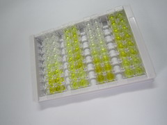 ELISA Kit for Peroxisome Proliferator Activated Receptor Delta (PPARd)