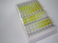 ELISA Kit for S100 Calcium Binding Protein A10 (S100A10)
