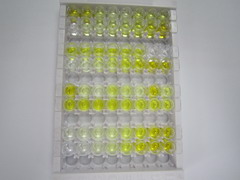 ELISA Kit for Interferon Inducible T-Cell Alpha Chemoattractant (ITaC)