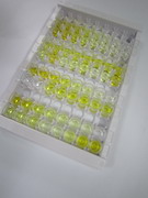 ELISA Kit for Macrophage Inflammatory Protein 4 Alpha (MIP4a)