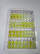 ELISA Kit for Collagen Type VI Alpha 3 (COL6a3)